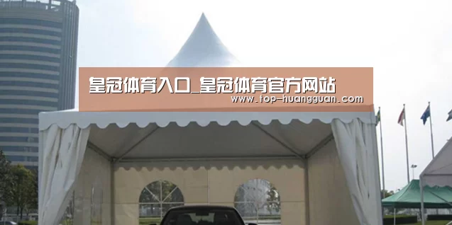 案例标题八