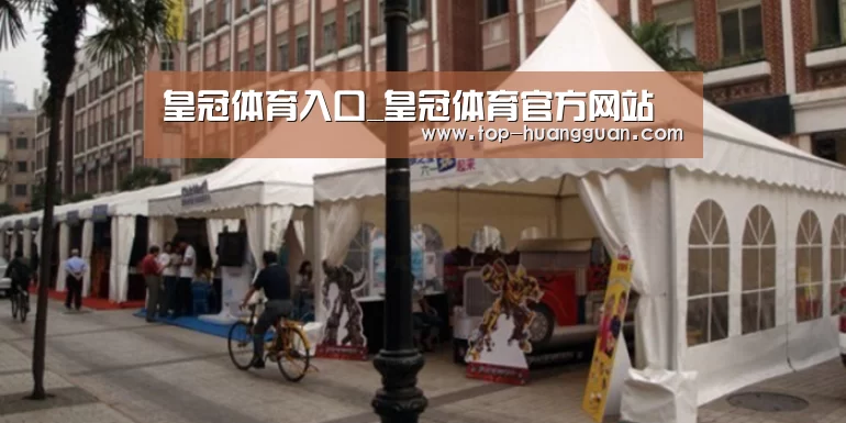案例标题九
