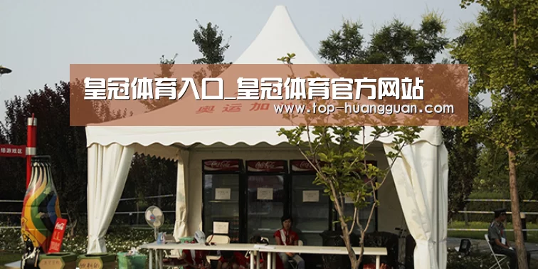 案例标题五