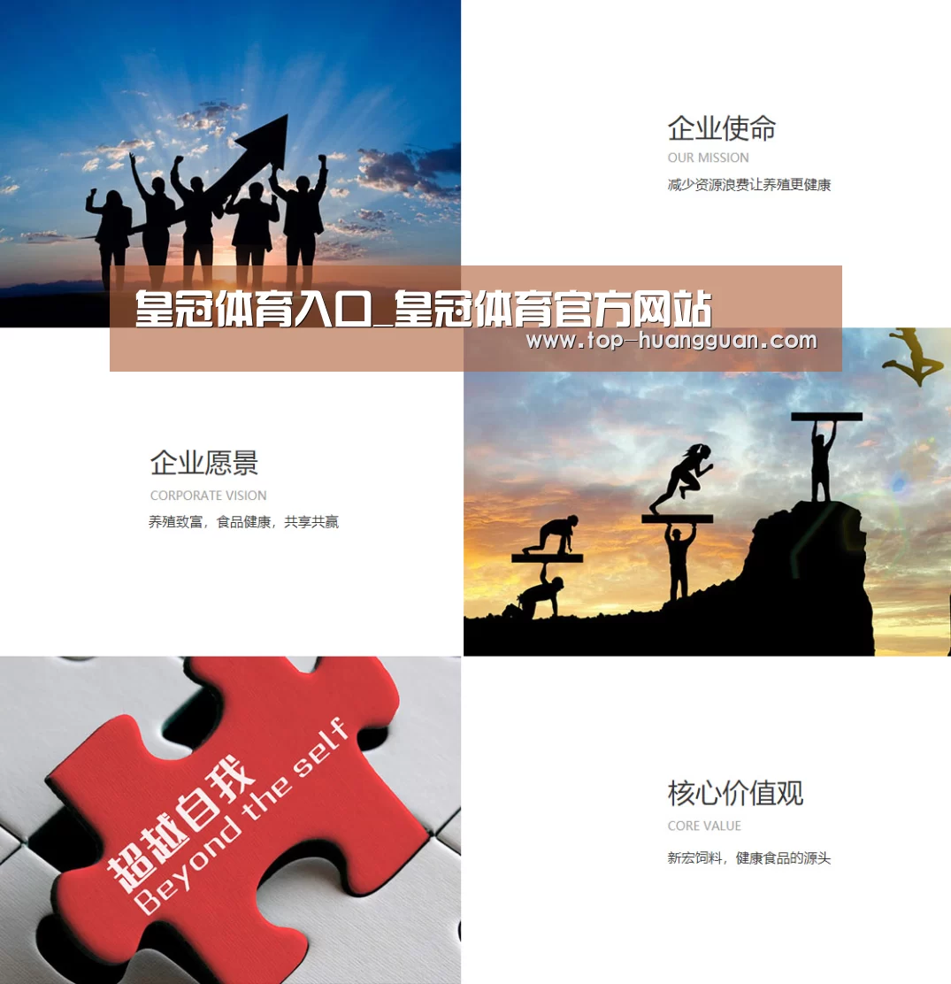 企业文化(图1)