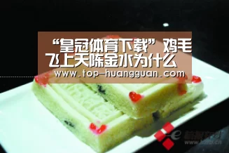 “皇冠体育下载”鸡毛飞上天陈金水为什么看不上骆玉珠 讨厌她的原因竟如此(图4) 皇冠体育官网