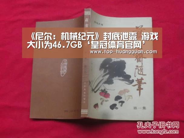 《尼尔:机械纪元》封底泄露 游戏大小为46.7GB‘皇冠体育官网’(图2) 皇冠入口