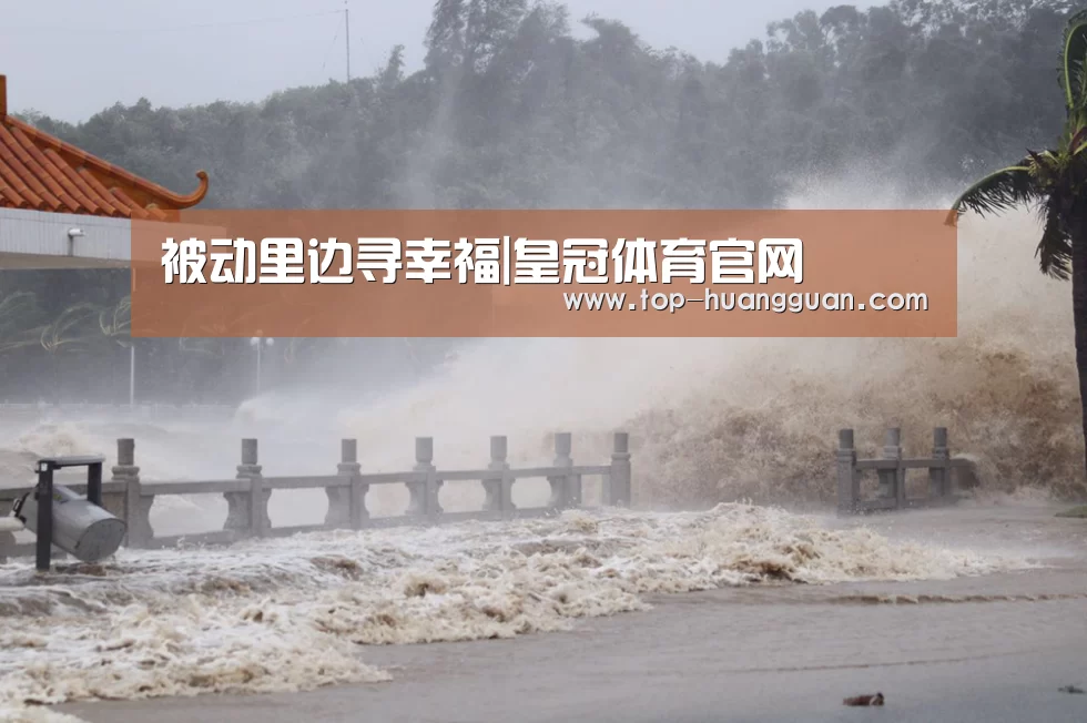 被动里边寻幸福|皇冠体育官网(图4) 皇冠体育官网