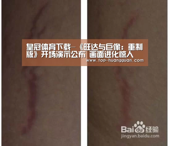 皇冠体育下载-《旺达与巨像:重制版》开场演示公布 画面进化惊人(图2) 皇冠入口
